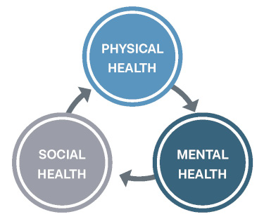 diagram showing the three pillars of health